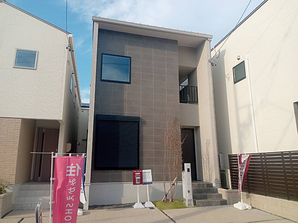 m̒萔̕sYЂ񂩂VzˌĂw܂